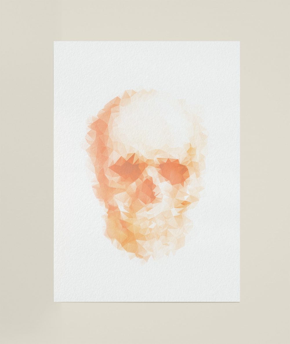 Sin-And-Tonic-Terry-Chisholm_Geo-Skulls