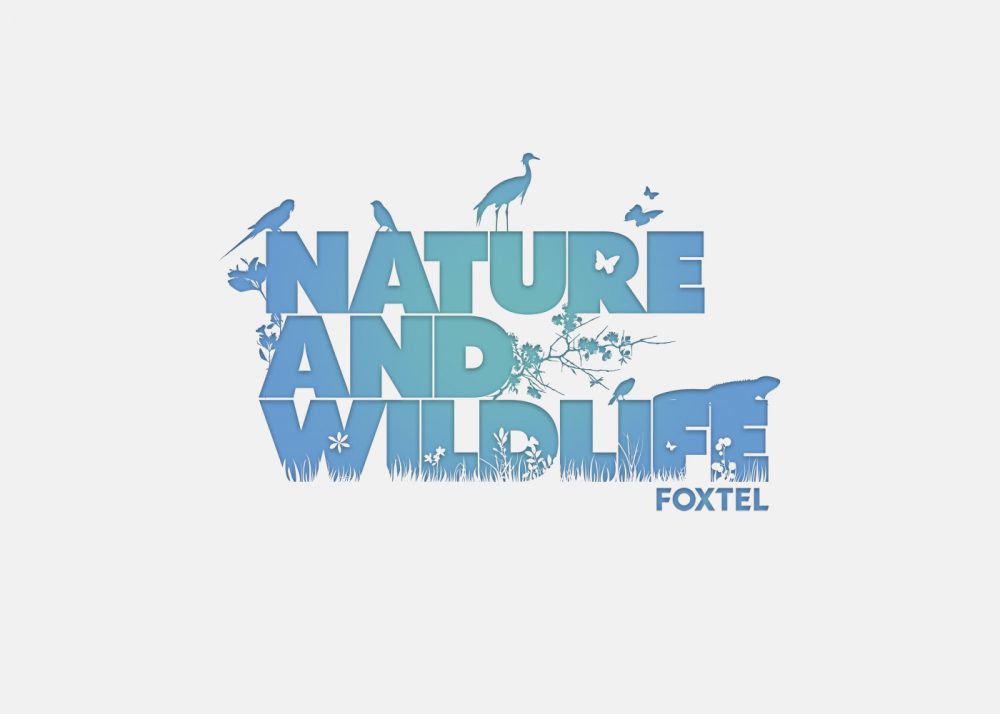 Sin-And-Tonic-Terry-Chisholm-Foxtel_12